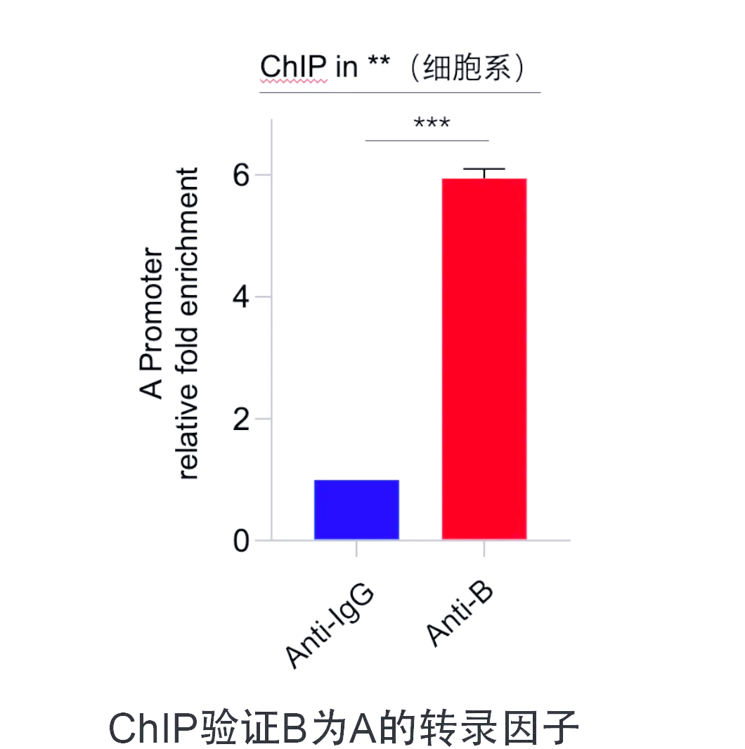 chip与ip区别 chip input ip 占多少 