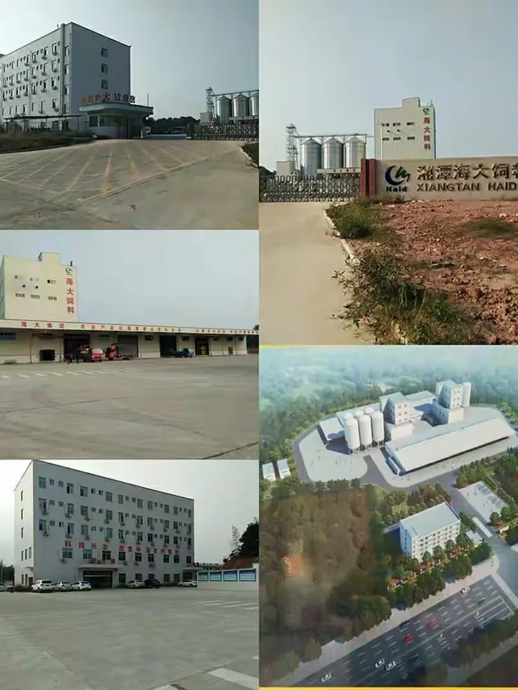 关于辽宁助力新秀崛起，稳坐东部龙头位置的信息